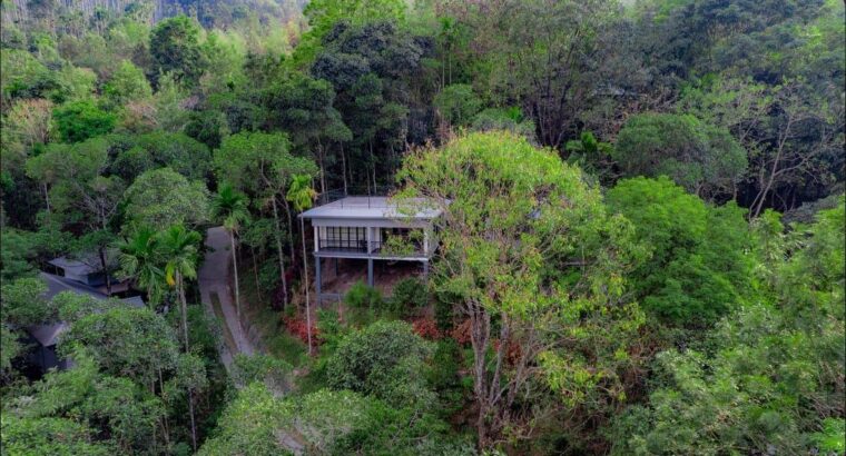 Wayanad Cozy Couple Escape