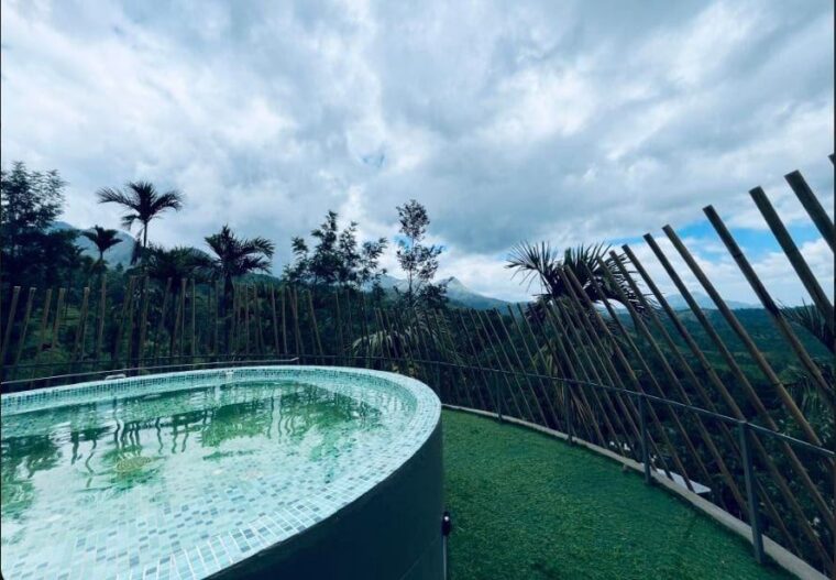 Canopy Aura Escape — photo 4