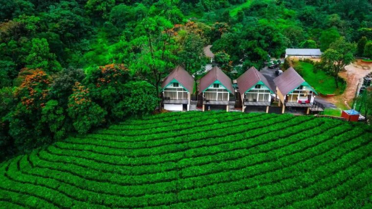 Munnar Signature Ride
