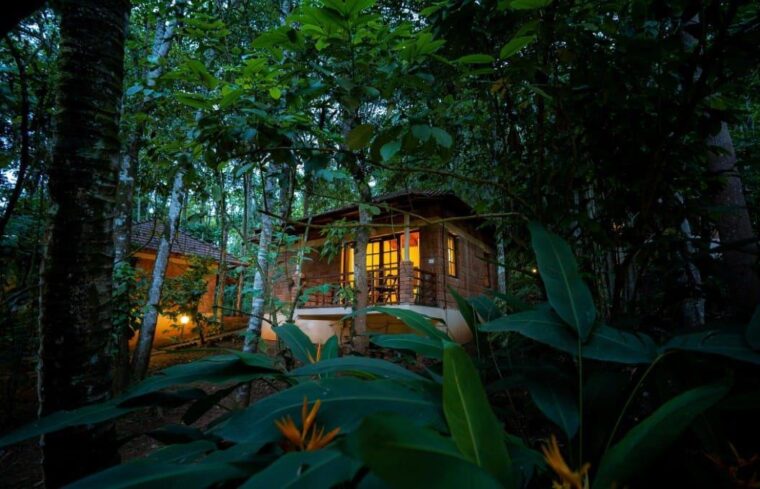 Serenity Fields Resort — photo 4