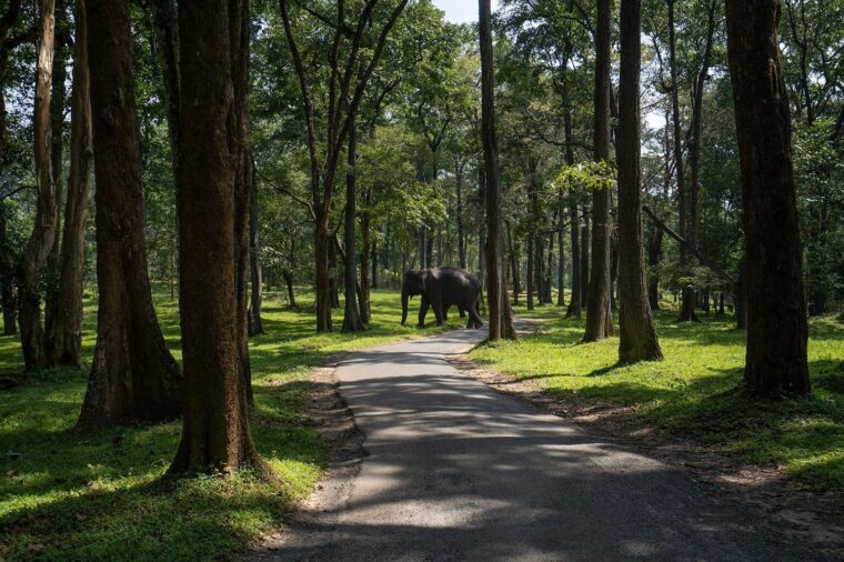 Kuruva Island Escape — photo 5