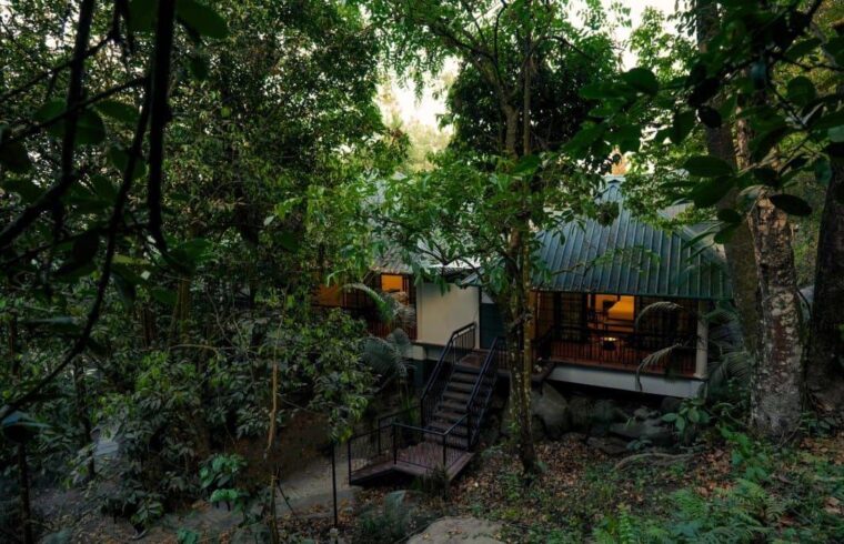 Green Hive Escape — photo 3
