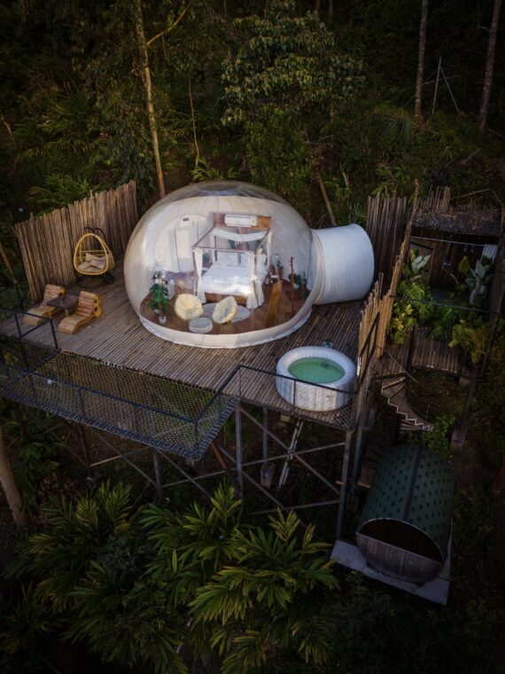 Munnar Luxury Glamping Honeymoon  Escape