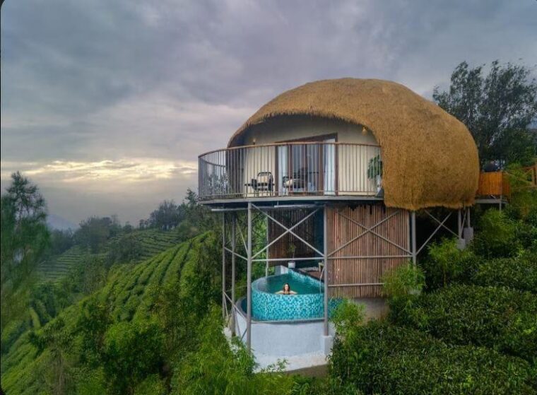 Mistile Glamps Vagamon — photo 4