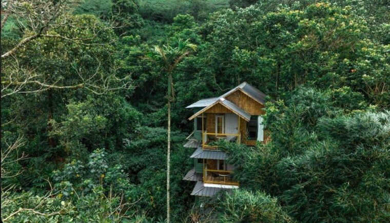 Mountain Serenity Resort — photo 3