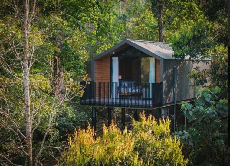The Jungle View Escape — photo 3