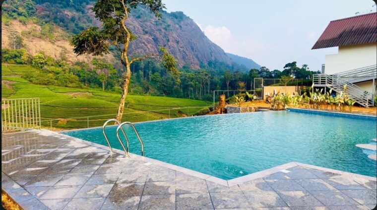 Luxury Tea Garden Escape — photo 2