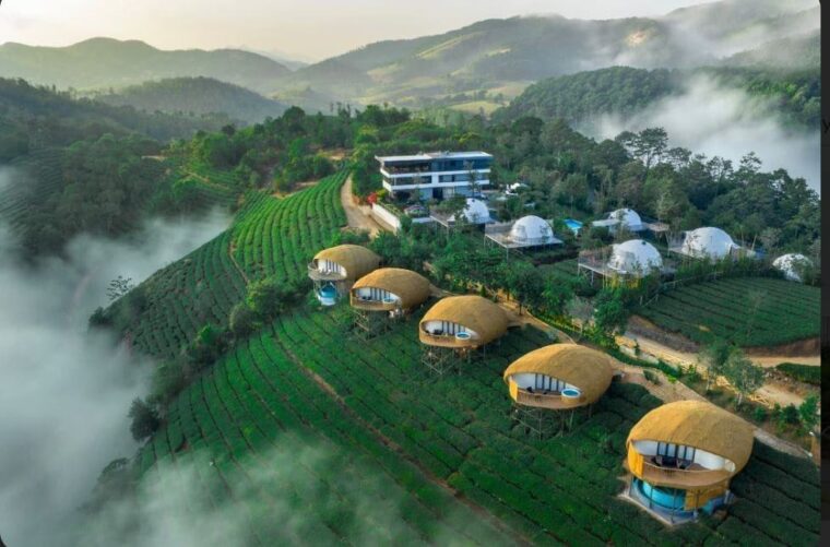 Mistile Glamps Vagamon