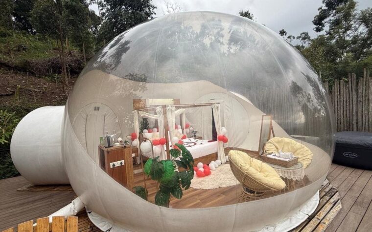 Munnar Honeymoon Luxury Escape — photo 3