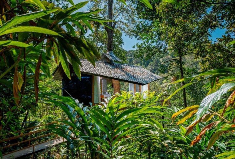 Camellia Estate — photo 3