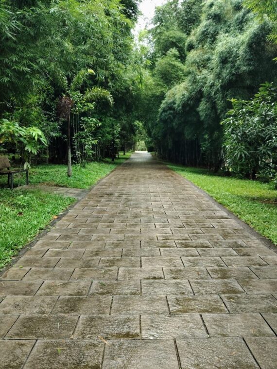 Coffee Valley Resort — photo 3
