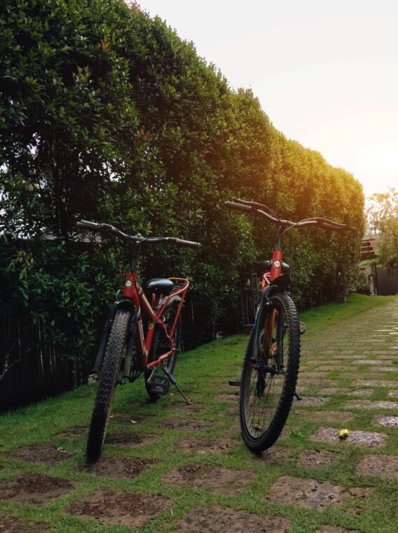 Coffee Valley Resort — photo 4